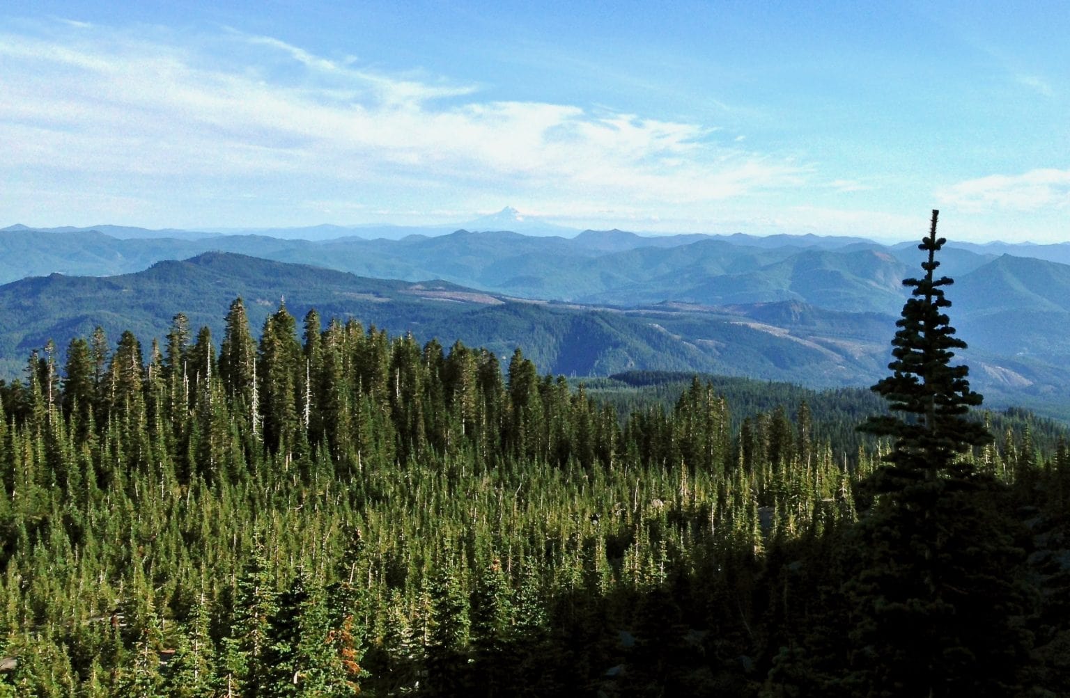 Mt. St. Helens (Monitor Ridge Climbing Route) – Hesperos Flown
