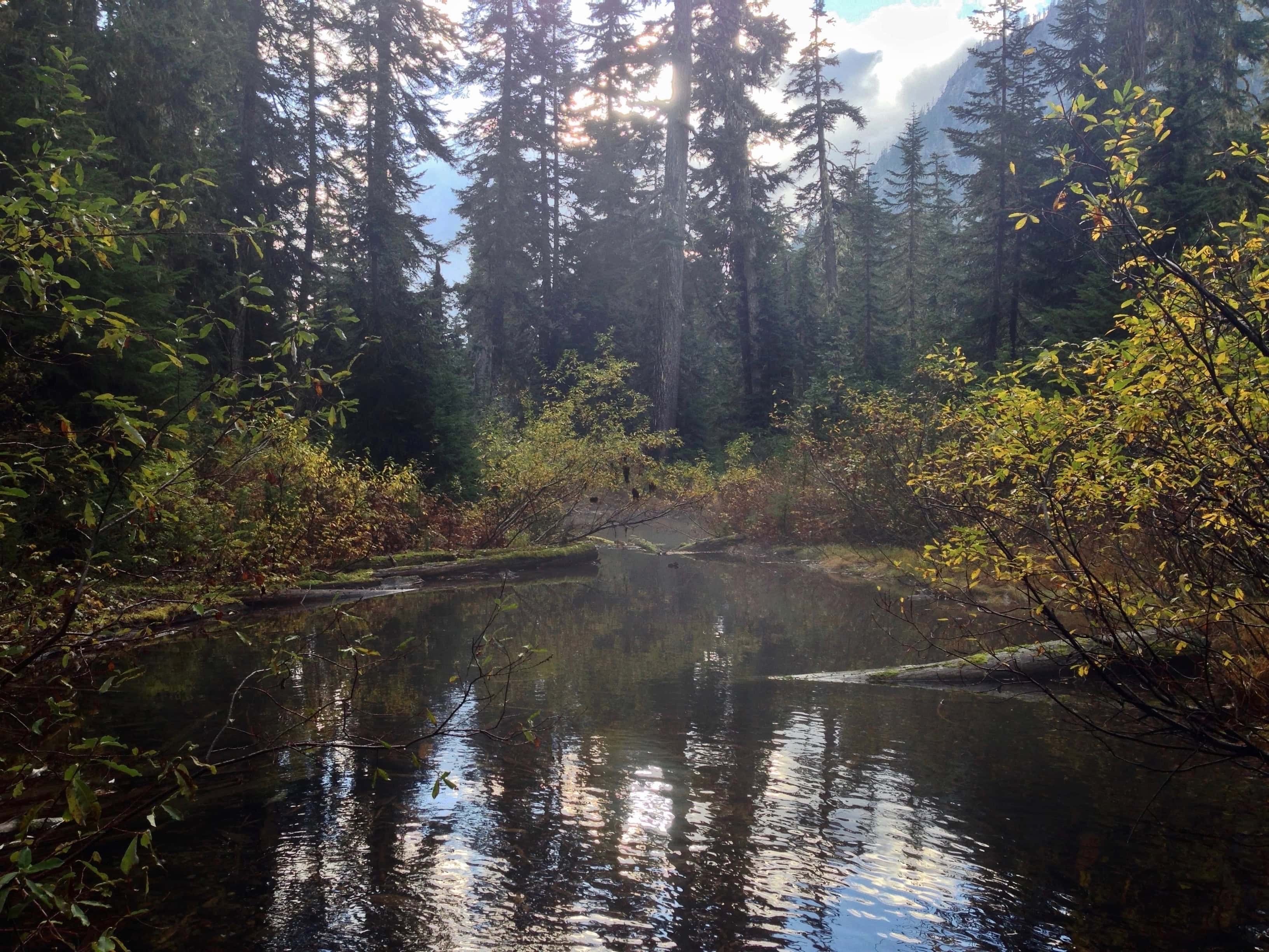 Mist rises from a quiet backwater on Commonwealth Creek. Commonwealth Basin – Red Pass Trail, October 19, 2014.