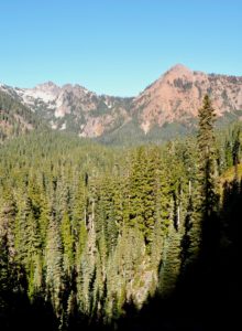 Above Commonwealth Basin’s broad woodland, the trail’s formal destination, Red Pass, is visible as the cleft between Lundin Peak on the west (left in this photo) and the aptly named Red Mountain on the east (right). A bootpath continues west from the pass to the lowest of Lundin Peak's three craggy points. Pacific Crest Trail, Section J, October 29, 2017.
