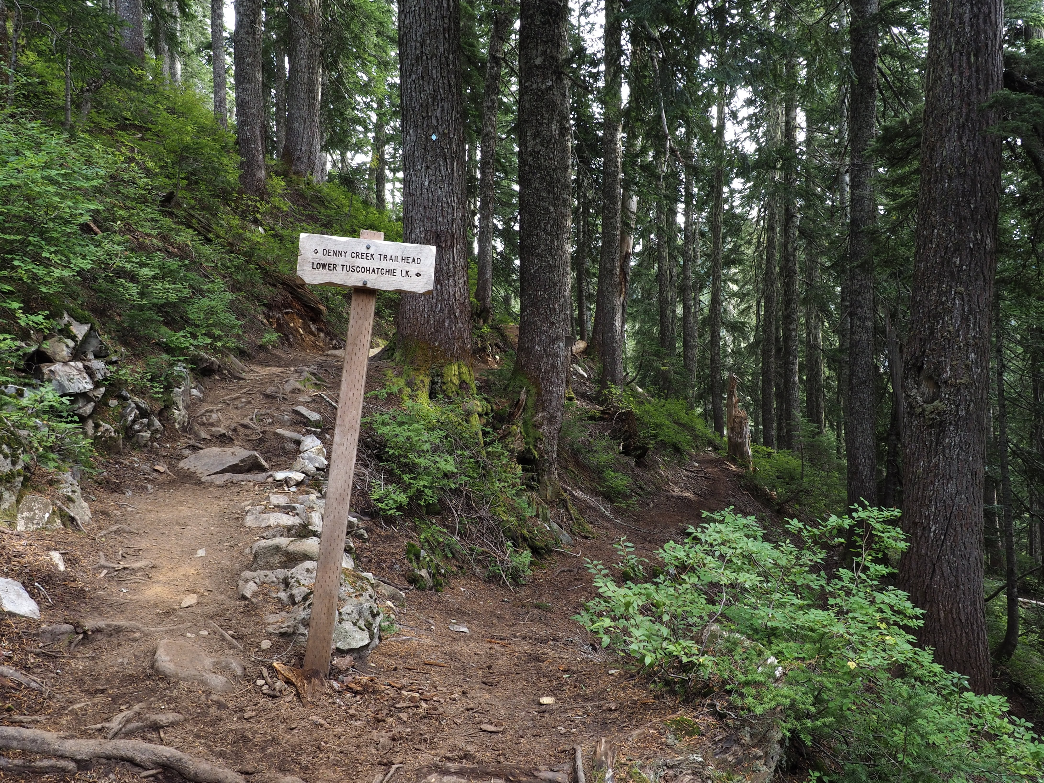 Denny Creek — Washington Trails Association