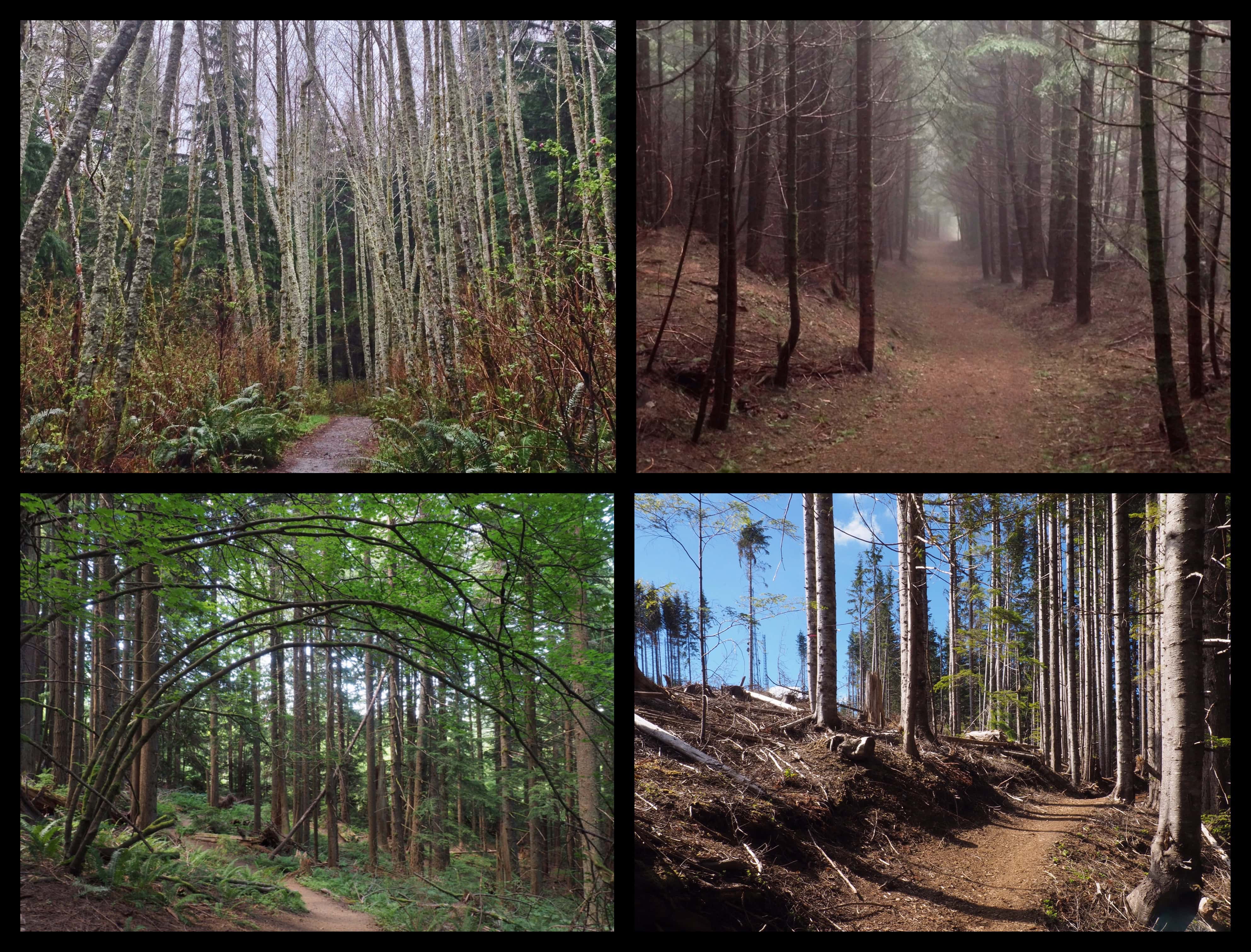 Rattlesnake Ledge and Rattlesnake Mountain – Hesperos Flown